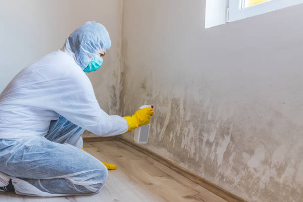 Mold inspector in Pine Brook performing thermal imaging